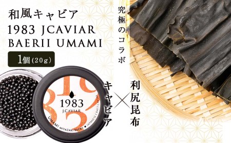 【和風キャビア】1983 JCAVIAR BAERII UMAMI 1個(20g） 北海道ふるさと納税 キャビア 国産 国産キャビア コンブ こんぶ 北海道産昆布 利尻こんぶ