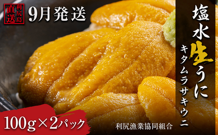 【2025年9月発送】キタムラサキウニ 200g (100g×2パック) ＜利尻漁業協同組合＞ 北海道ふるさと納税 利尻富士町 北海道 海鮮 北海道 海鮮 生うに 北海道 雲丹 ウニ 塩水生うに