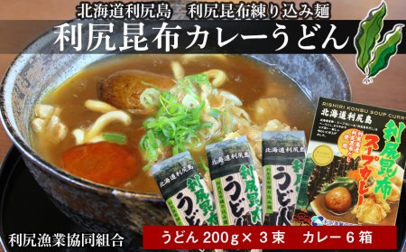 風味豊か!利尻昆布カレーうどんセット[利尻漁業協同組合] 北海道ふるさと納税 うどん 乾麺 利尻昆布 スープカレー レトルト