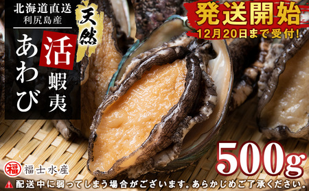 利尻島産 直送!天然 活えぞあわび 500g 鮑 海鮮 冷蔵 お刺身 魚介 お祝い[福士水産] 北海道ふるさと納税 北海道産 アワビ 産地直送 活 蝦夷あわび