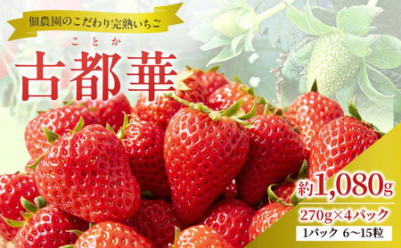 [先行予約]いちご 完熟 古都華 約1,080g(270g× 4パック ) 佃農園のこだわり 高評価 フルーツ 果物 旬 産地直送 デザート ことか イチゴ 苺 冷蔵 冷蔵配送 奈良 奈良県 大和郡山市