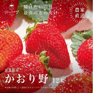 いちご 風味豊かないちご かおり野 1箱(9粒〜12粒) 苺 イチゴ くだもの 果物 フルーツ 甘い 大和郡山市 奈良県