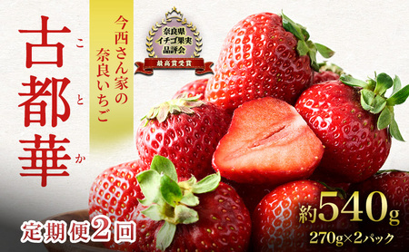 [先行予約][定期便 2回]今西さん家の奈良いちご いちご 古都華 約540g(270g× 2パック )