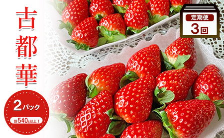 y2026N1{o׊Jnzy3z Ós 270g × 2pbN t[c ʕ { Yn {̃t[c {̉ʕ   fU[g  Ƃ  ① ①z ޗ ޗ