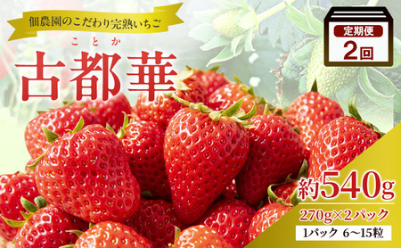 [2回定期便]いちご 完熟 古都華 約540g(270g× 2パック ) 2026年1月出荷開始 先行予約 奈良 ブランド イチゴ フルーツ