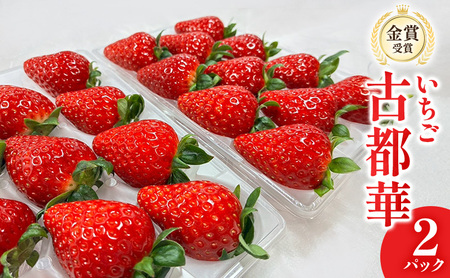 いちご 古都華 2パック 金賞受賞 フルーツ 果物 旬 産地直送 デザート ことか イチゴ 苺 冷蔵 奈良 大和郡山 北村農園