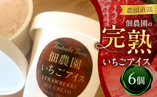 農園直送 佃農園の完熟いちごアイス 6個 アイス アイスクリーム いちご イチゴ 苺 完熟 スイーツ おやつ デザート 冷菓 奈良県 大和郡山市