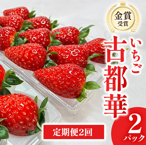 [先行予約]いちご 定期便 2回 古都華 2パック 金賞受賞 フルーツ 果物 旬 産地直送 デザート ことか イチゴ 苺 冷蔵 奈良 大和郡山 北村農園