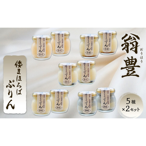 プリン 詰め合わせ 大和まほろば翁豊ぷりん 10個入り 5種×2セット 奈良県 大和郡山市 スイーツ お取り寄せ ギフト 贈り物 洋菓子 プレゼント お祝い デザート ぷりん