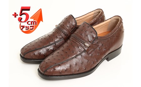 オーストリッチ革 ビジネスシューズ 紳士靴 スワローモカ 5cmアップ 4E ワイド No.67 ブラウン 23.5cm