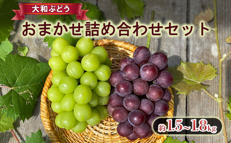 [大和ぶどう]おまかせ詰め合わせセット 果物 フルーツ 葡萄