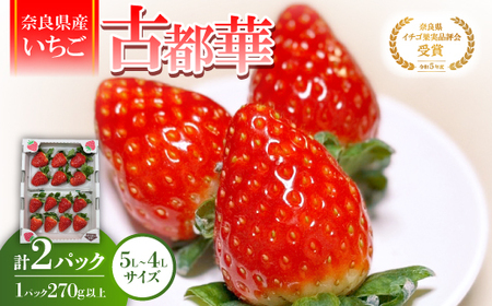 y2025N12{zs󏭕itޗǌYuÓs؁v嗱(5L`4LTCY )2pbN_ʕEt[c   C`S _yzsnFzy1556701z