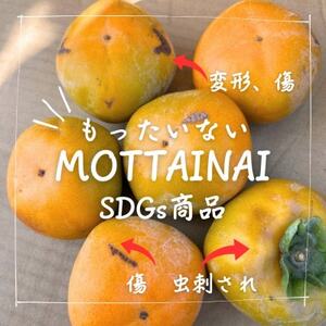 󂠂yߘa7N10菇z˂Ȃ`L`2LTCY(16`18)_ʕEt[c `iJLj  _yzsnFzy1601325z