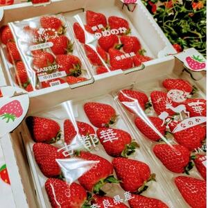 ޗǌY̐Hה׃ZbgyzsnFEkCEꌧEkzy1609082z