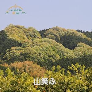 フォトグラファー小平尚典と行く「山の辺の道」撮影ツアー [1泊2日] 2026年4月7〜8日催行