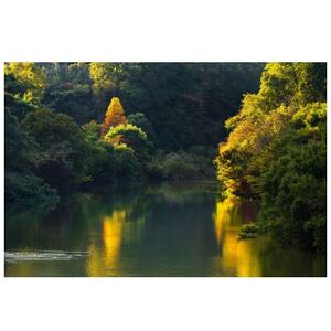 天理の風景2『AUTUMN RADIANCE 〜秋光〜』A4メタルグラフィックアート