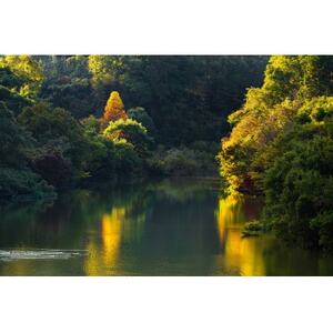 天理の風景2『 AUTUMN RADIANCE 〜 秋光 〜 』2Lメタルグラフィックアート