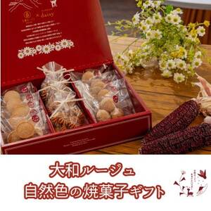 大和ルージュ 自然色の焼菓子ギフトY-30