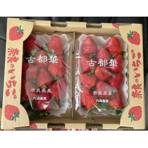 内浦いちご農園 古都華 270g×2パック[配送不可地域:離島・北海道・沖縄県]