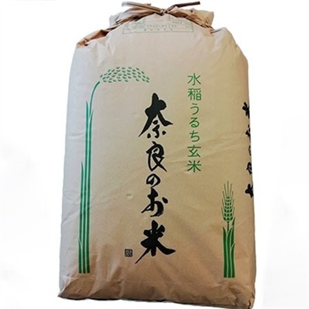 【令和8年10月中旬以降発送】ひのひかり(奈良県天理産)玄米30kg【令和8年産】(一等米)_ 玄米 米 こめ コメ_【1085320】