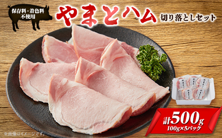 S[hEV[Hi܂ƃn؂藎ƂZbg(100g×5pbN)_ n ؓ _yzsnFzy1284833z