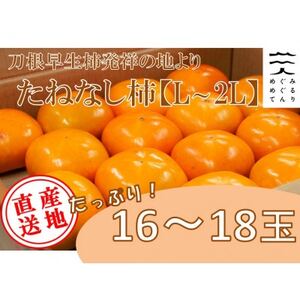 【令和7年10月以降発送予定】刀根早生柿発祥の地※より「たねなし柿」L~2L(1段箱16～18玉)【配送不可地域：離島】【1434467】