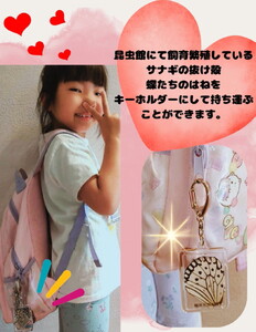 橿原市昆虫館オリジナル 蝶のはね入り・サナギの抜け殻キーホルダー5点セット