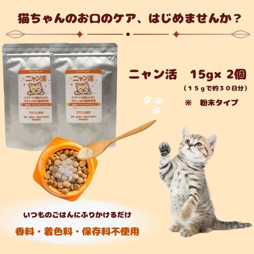 ニャン活　15g×2個