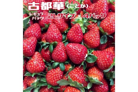 ܂21N ND]̊Â䕁iM[pbNQLTCYjiÓs؁iƂjj OɓdbA ws kCEEւ̔zs