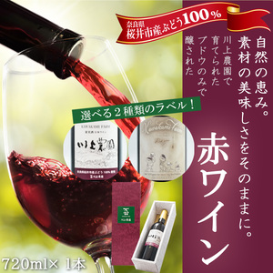 M-BB21.[Aラベル-川上農園]赤ワイン 720ml 1本(商品No.1)