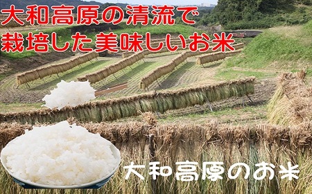 [農村の恵み]大和高原 棚田米 ひとめぼれ 10kg