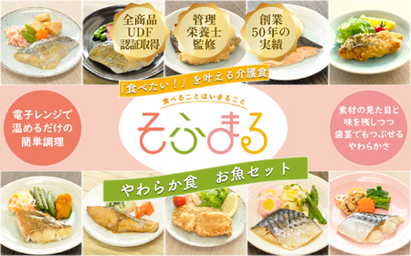 M-C15.[そふまるやわらか食]お魚セット(10点入)