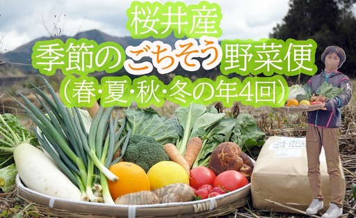 [大和高原地域で栽培]桜井産季節のごちそう野菜便(春・夏・秋・冬の年4回発送)生産者カード付き