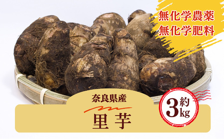 生命の農法(無化学農薬・無化学肥料栽培) 里芋 (約3kg)| 野菜 根菜 奈良県 五條市