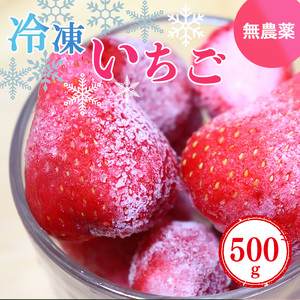 冷凍いちご 約500g (100gx5パック) 奈良県産のいちご | フルーツ くだもの 果物 いちご イチゴ 冷凍 奈良県 五條市