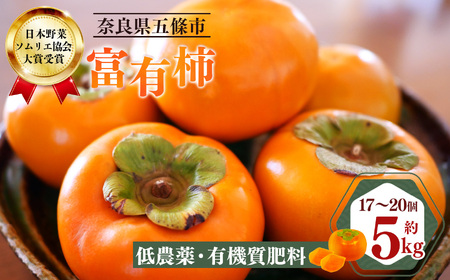富有柿 約5kg(17〜20個) 日本野菜ソムリエ協会大賞受賞品