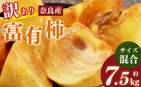 [訳あり]富有柿 サイズおまかせ 約7.5kg | フルーツ くだもの 果物 柿 かき カキ 富有柿 奈良県 五條市