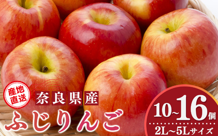 ふじりんご 10 個〜16 個 2L〜5L サイズ