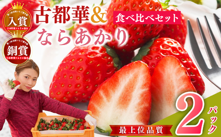 [セット]奈良県西吉野産 大和なでし苺 古都華・ならあかり食べ比べセット | フルーツ くだもの 果物 いちご イチゴ 大和なでし苺 ことか コトカ 古都華 奈良県 五條市