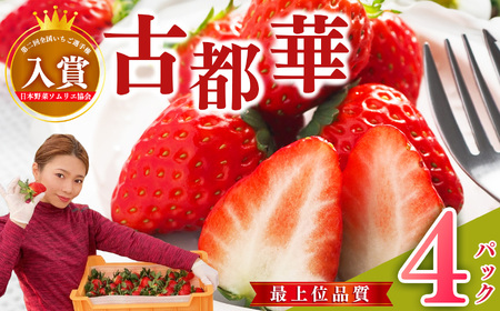 ŏʕi 䕂̐_ aȂł Ós  270g ×4pbN i 2 j | ޗǌgY t[c  ʕ  C`S aȂł Ƃ RgJ Ós ޗǌ ܞs uh 