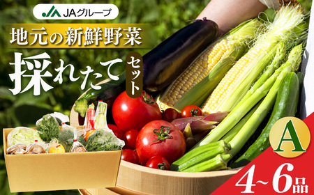 季節の野菜セットA | 詰め合わせ 果物 新鮮 お試し おすすめ 冬 春 夏 秋 国産 奈良県 五條市