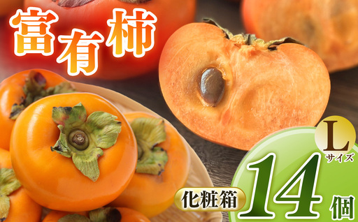 富有柿 L 14個セット 化粧箱 1段 | 果物 産地直送 国産 自宅用 ギフト 種有り 奈良県 五條市