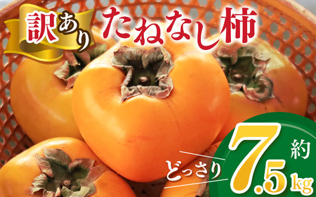 [家庭用]どっさりわけあり たねなし柿 約7.5kg 