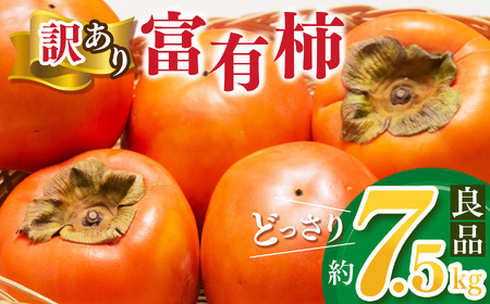 [家庭用] どっさり わけあり 富有柿 約7.5kg | フルーツ くだもの 果物 柿 かき カキ 訳 あり わけあり 家庭用 自宅用 どっさり たっぷり 奈良県 五條市