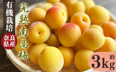 有機栽培 完熟南高梅 3kg | 果実 かじつ カジツ 梅 うめ ウメ 南高梅 奈良県 五條市[※6月中旬〜7月上旬発送予定]