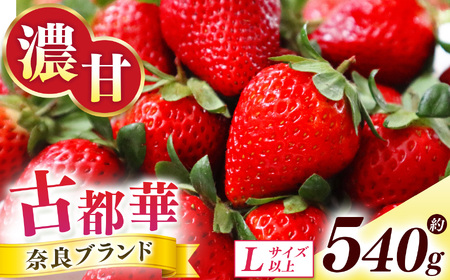 古都華 約540g (270g×2P)Lサイズ以上 | フルーツ くだもの 果物 いちご イチゴ ことか コトカ 古都華 オリジナル 糖度 酸味 希少 贈り物 ご褒美 奈良県 五條市
