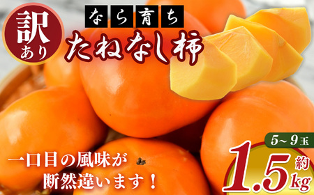 [なら育ち 益田農園]たねなし柿 訳アリ 約1.5kg(5玉〜9玉) | フルーツ 果物 くだもの 柿 かき カキ 奈良県 五條市