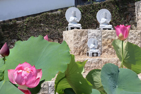 永代供養 (合同墓) | 永代供養墓 掃除 供養 墓じまい サービス 代行 お墓 奈良県 五條市