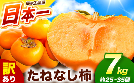 �󂠂� ���˂Ȃ��` ��7kg �i 25�`35�� ) ��l�C  | �햳�� ���˂Ȃ� �` �t���[�c �ʕ� �������� �J�L ���� �_�ƒ��� �ƒ�p �t�[�h���X �H�̖��o �{ �召���� �ޗǌ� �ܞ��s �܂�₩ �H�ׂ₷��