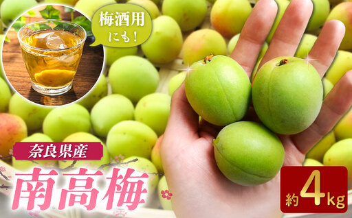 にし農園の南高梅 約4kg(梅干し・梅酒用) | 梅 うめ ウメ 梅干し 梅干 果実 かじつ なかにし農園 6月 発送 旬 大容量 農家直送 産地直送 グルメ お取り寄せ | 奈良県 五條市